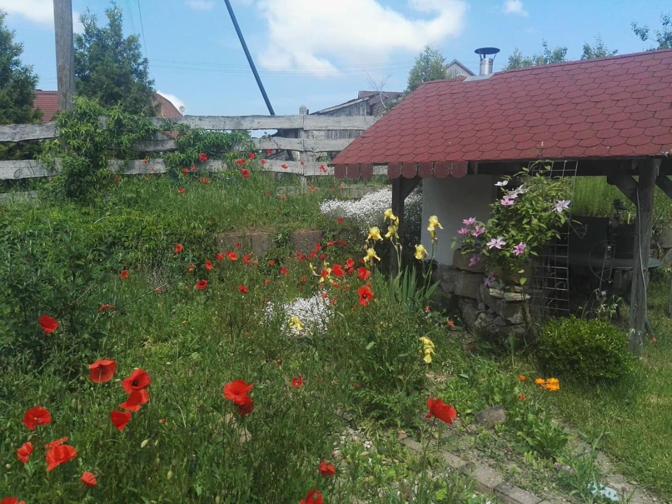 Gaestehaus Zum Gesundheitszentrum Matz Sulzdorf an der Lederhecke Buitenkant foto
