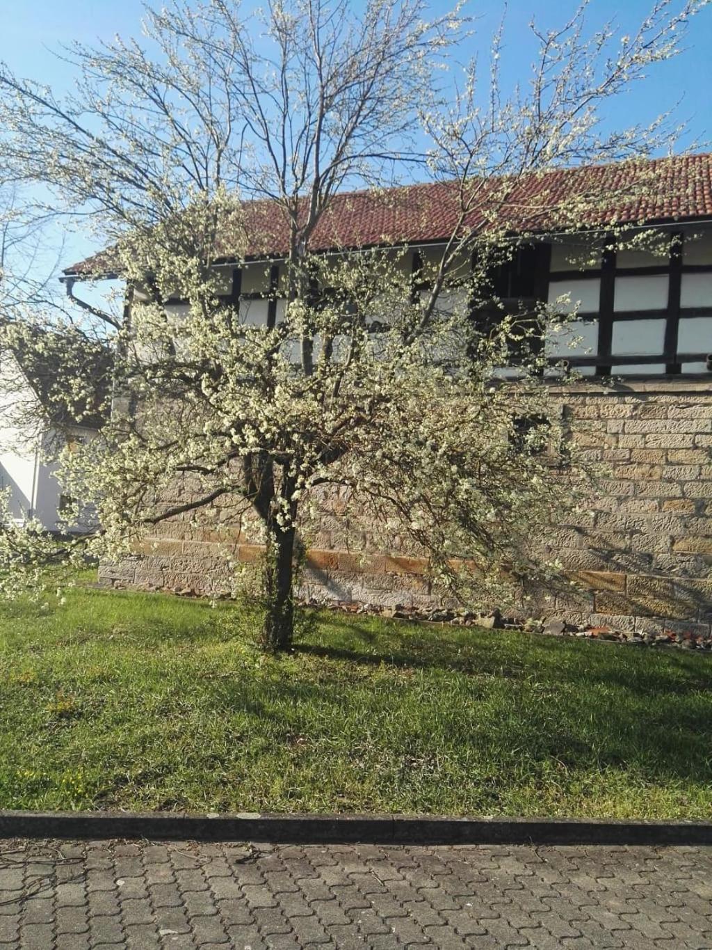 Gaestehaus Zum Gesundheitszentrum Matz Sulzdorf an der Lederhecke Buitenkant foto